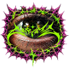 Das Auge