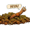 A smiling worm. Earthworm