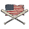 USA Flag Baseball