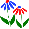 two flowers