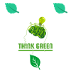 Thank Green: Leafy Bulb