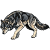 Wolf Illustration