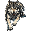 Wolf Illustration