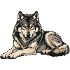 Wolf Wildlife