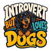 Dachshund