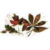 leaves