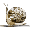 snail