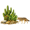 Cactus and Coyote
