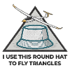 Round Hat Flies Triangles V3