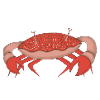 crabby
