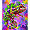 chameleon