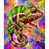 chameleon