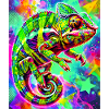 chameleon
