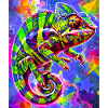 chameleon
