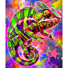 chameleon