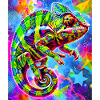 chameleon