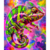 chameleon