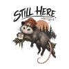Still Here Opossum