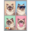 Cats Sacred Birman Cat