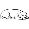 Sleeping Cats Silhouette