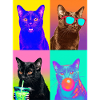 Cats Bombay Cat