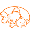 Fische_angeln_002_carp_fishing