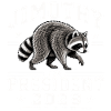 Jimothy as President 2028