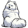 Samoyed Samoyed Owner Samoyed Lovers