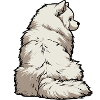 Samoyed Samoyed Owner Samoyed Lovers