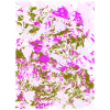 Neon Rosé Tie-Dye Swirl