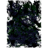 Neon Fog Swirl Pattern