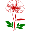 Pansy