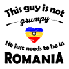 Buntes Romania Fanshirt