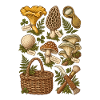 Pilze im Wald – botanische Illustration