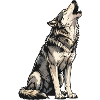 Howling Wolf Illustration