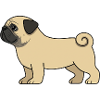 Mops Cartoon Zeichnung