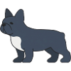Blauer Französischer Bulldog Silhouette