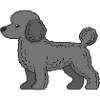 Pudel Silhouette Grau