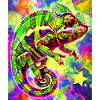 chameleon