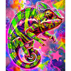 chameleon