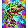 chameleon