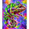 chameleon