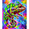 chameleon