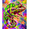 Chamäleon