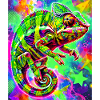 chameleon