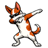 Dabbing Podenco Ibicenco