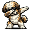 Tappage de Lhassa Apso