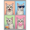 Cats Burmilla Cat