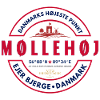 Møllehøj Denmark Peak Graphic Tee