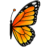 Matching butterfly - right wing 